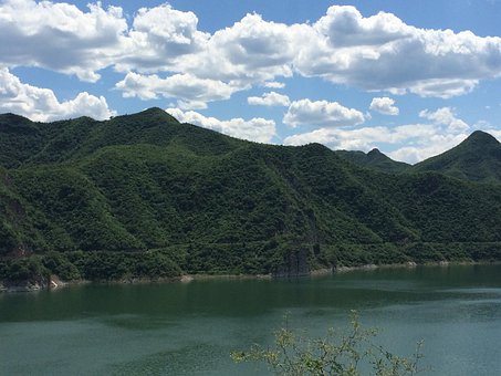 梦见电神雷兽的头